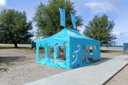 Festival Beleef `t Strand:  Over alles wat vliegt, fluit en fladdert