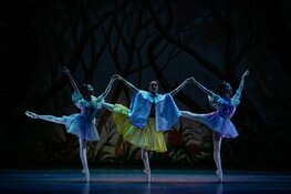 Betoverende dansvoorstelling in Decembermaand