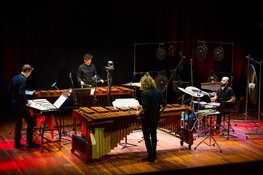 Havelok Percussion speelt meesterwerk van Maier, Glass en meer