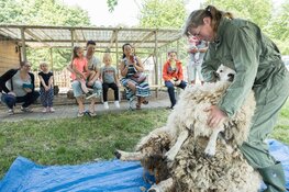Vier Moederdag en de lente bij Kinderboerderij den Uylpark tijdens het feestelijke Lentefeest!
