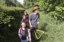 Ontdek de wondere wereld van de kriebelbeestjes