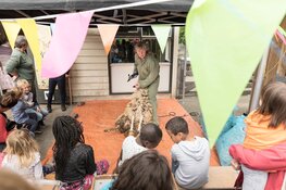 Ontdek de lente tijdens het lentefeest op kinderboerderij de beestebende
