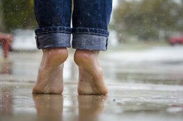 Zomer gaat komende week van start, al merken we daar nog weinig van