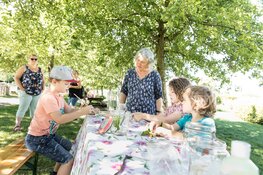 Zomeravontuur bij Stad & Natuur: Ontdek micro organismen