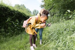 Zomeravontuur bij Stad & Natuur: Ontdek micro organismen