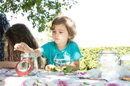 Ontdek de onzichtbare natuur tijdens het Zomerfestival 2024