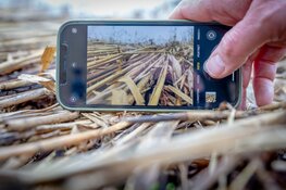 Doe mee met bomvol activiteitenweekend bij Stad & Natuur