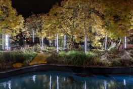 ALLUMINOUS Lichtkunstfestival keert terug in Almere