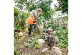 Unieke dagbesteding in een dierenpark