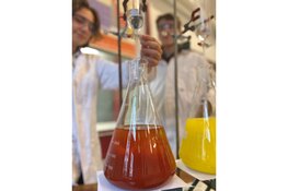 Informatieavond nieuwe middelbare school Waldorf Almere: Beleef wat je leert!