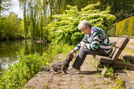 Start de lente gelukkig en gezond, met een lieve (oppas)hond!