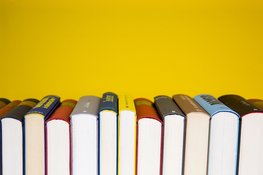Nieuwe vaardigheden ontwikkelen voor succes in je carrière