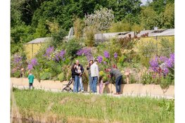 Wereld Plantendag bij Almere Jungle trekt meer dan honderd jonge natuurstrijders