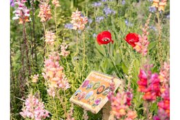 Wereld Plantendag bij Almere Jungle trekt meer dan honderd jonge natuurstrijders