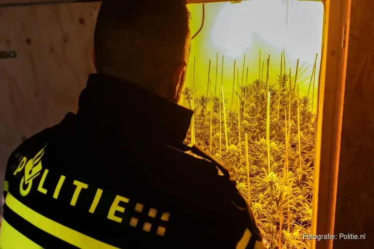 Hennepkwekerij in Almere Haven ontmanteld na anonieme tip