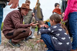 Kriebelbeestjesfestival op de Kemphaan