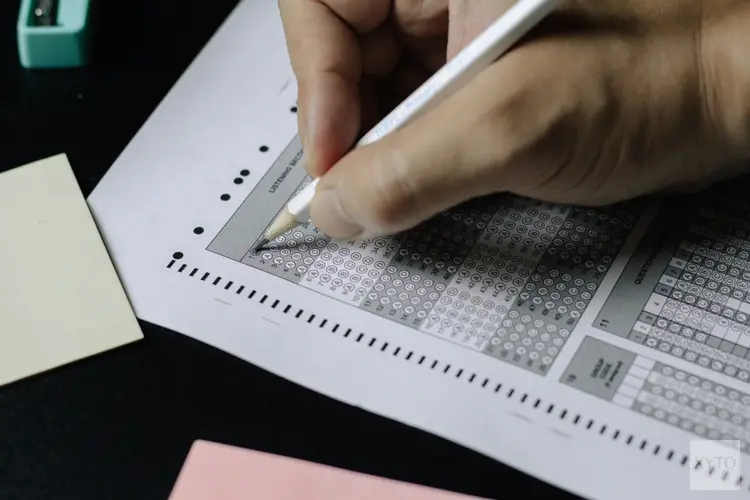 Succesvol slagen voor je Nederlandse theorie-examens: tips en hulpmiddelen