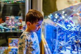 Hoorn deze zomer LEGO-stad