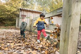 Het Grote Almeerse Natuuravontuur op de Kemphaan. Beleef de natuur op zijn avontuurlijkst