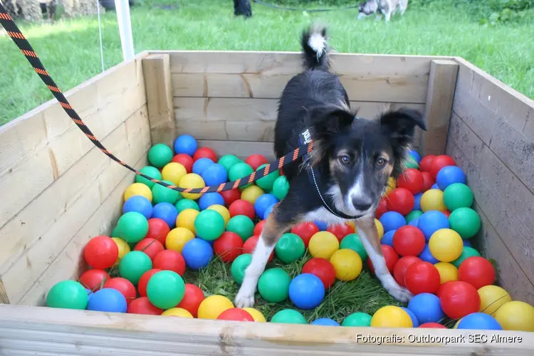 Expeditie Dierendag: Een uniek uitje voor honden en baasjes in Almere