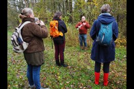 Ontdek, verdiep en deel de natuur: word IVN Natuurgids