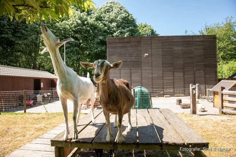 Kinderboerderijen Den Uylpark en de Beestenbende vieren dierendag