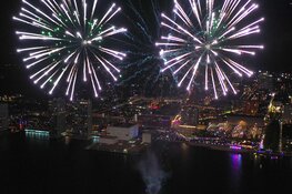 Vier het licht tijdens Almere Diwali