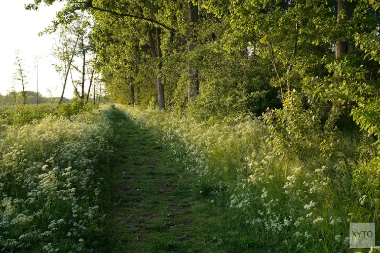 Groen en nat: herfstavontuur in de Almeerse natuur