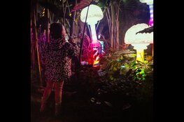 Jungle by Night: mystieke avondsafari's in Almere Jungle