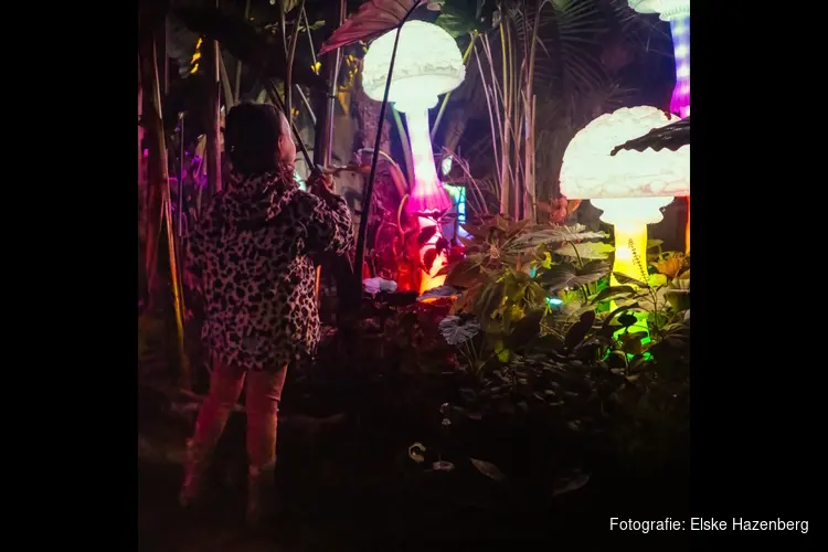 Jungle by Night: mystieke avondsafari's in Almere Jungle