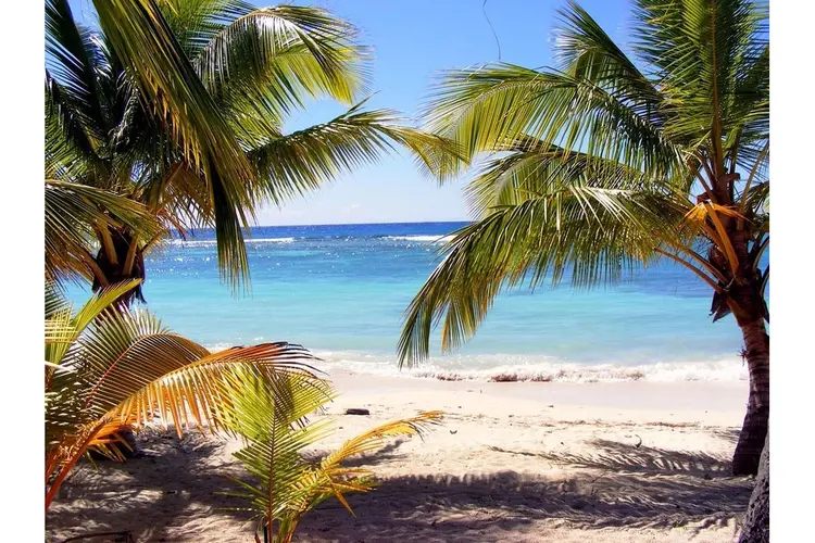 Droom jij ook van een vakantie naar Dominica?