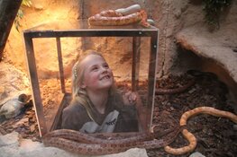 Dierenpark Almere Jungle viert tienjarig jubileum: terugblikken en vooruitkijken met directeur Robert Loose
