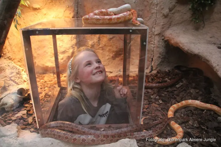 Dierenpark Almere Jungle viert tienjarig jubileum: terugblikken en vooruitkijken met directeur Robert Loose