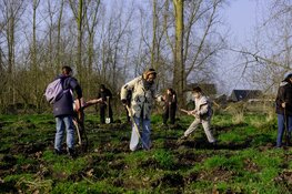 Boomfeestdag 2026: Leerlingen basisschool de Pauw planten 500 jonge bomen in het stadsbos Almeerderhout