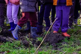 Boomfeestdag 2026: Leerlingen basisschool de Pauw planten 500 jonge bomen in het stadsbos Almeerderhout