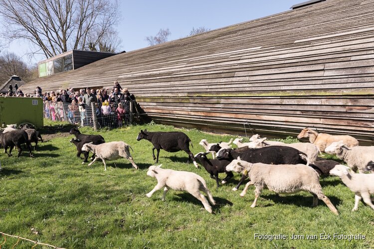 Lentefeest in het Vroege Vogelbos: vier 50 jaar Almere in het groen