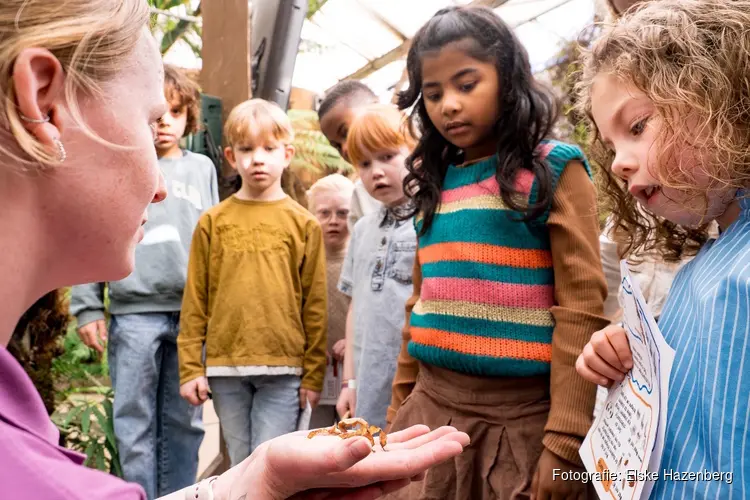 Almere Jungle lanceert compleet schoolreisprogramma: van voorbereiding tot nabespreking
