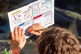 Almere Jungle lanceert compleet schoolreisprogramma: van voorbereiding tot nabespreking