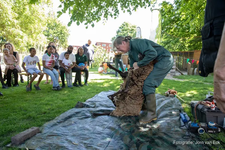 Trek eropuit: twee keer Lentefeest bij Kinderboerderijen Stad & Natuur