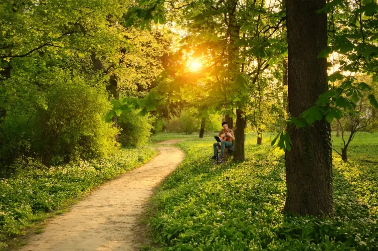 Muziekwandelingen Goede Rede Concerten starten weer