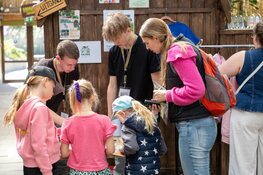 Studenten Zone.college brengen Almere Jungle tot leven met eigen evenement