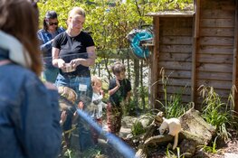 Studenten Zone.college brengen Almere Jungle tot leven met eigen evenement