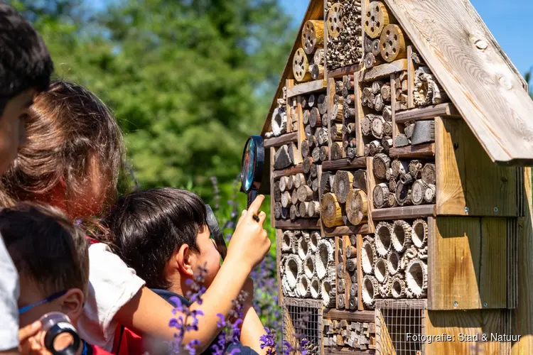 Insecten als superhelden bij Stad & Natuur op de Kemphaan