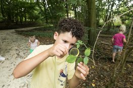 Samen spelen, ontdekken en beleven bij Buitenlol op de Kemphaan