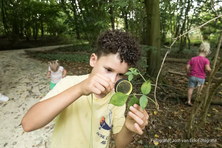 Samen spelen, ontdekken en beleven bij Buitenlol op de Kemphaan