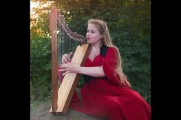 Nieuw gratis bosfestival Almera in Almeerderhout