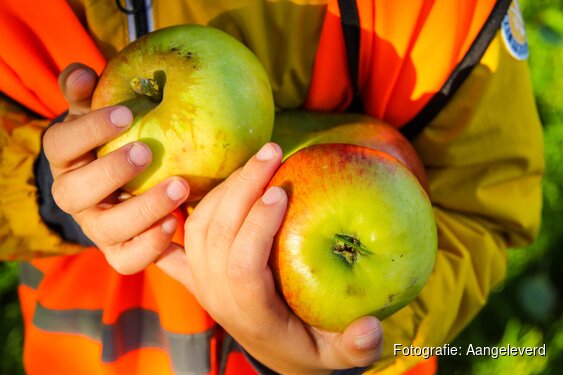 Stad & Natuur organiseert appelplezier in het Cascadepark