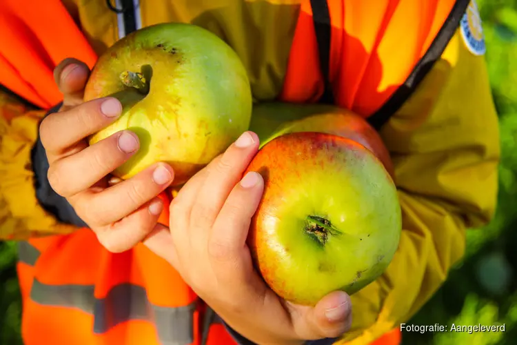 Stad & Natuur organiseert appelplezier in het Cascadepark