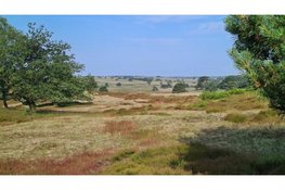 Ernstige zorgen natuurorganisaties over onvoldragen plannen Defensie