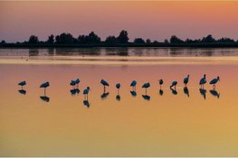 Het Oostvaarders Wijnfestival: nieuw evenement in Almere